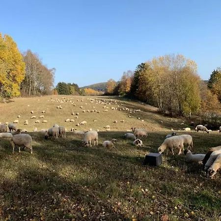 Haus Zum Seele Baumeln Lassen In Kassel Hébergement de vacances Großalmerode
