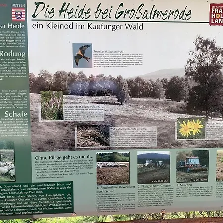 Haus Zum Seele Baumeln Lassen In Kassel Prázdninový dům Großalmerode